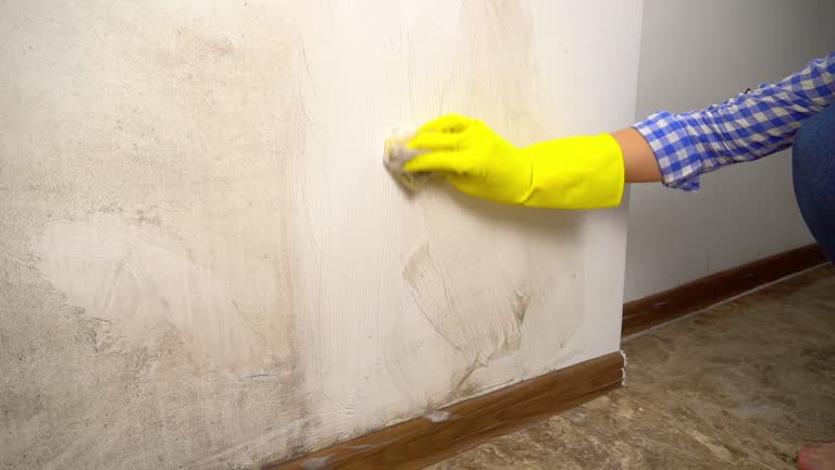 Best Biohazard Mold Removal  in Pigeon, MI